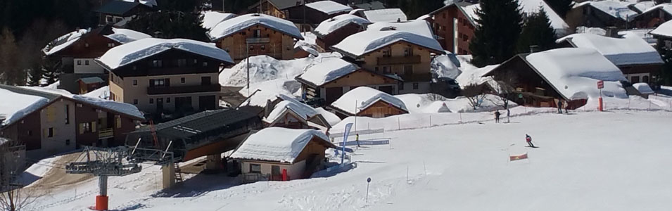 Appartement au pied du t&eacute;l&eacute;si&egrave;ge du Cernix