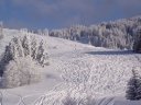 Piste du cernix, sur le Domaine de l'Espace Diamant Piste du cernix, sur le Domaine de l'Espace Diamant